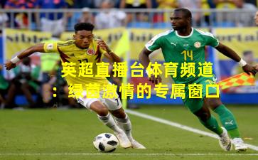 英超直播台体育频道:绿茵激情的专属窗口