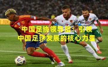 中国足协领导层：引领中国足球发展的核心力量