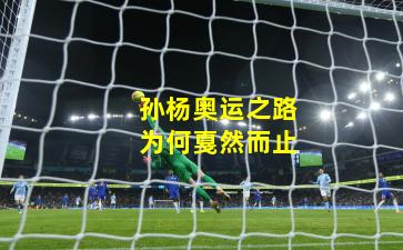 孙杨奥运之路为何戛然而止