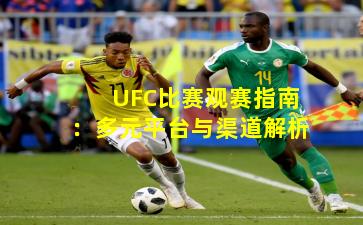 UFC比赛观赛指南：多元平台与渠道解析